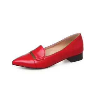 Women's's Pointed Toe Block Low Heels Pumps